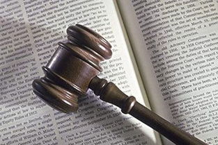 律師專業(yè)化 法律的立身之本